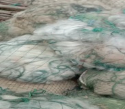 求购求购废旧渔网，麻绳，蓝网子